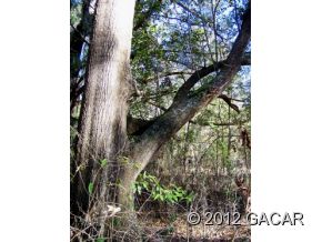 26238 Nw 166th Avenue, High Springs, FL 32643