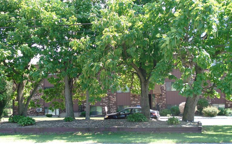 Condo Real Estate at 961 East Joliet Rd, Schererville in Lake County, Indiana 46375