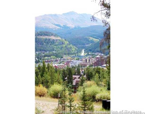 150 Beavers Drive, Breckenridge, CO 80424